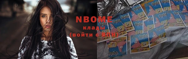 гашик Ельня