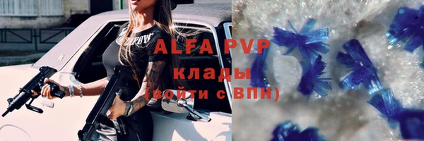 гашик Ельня