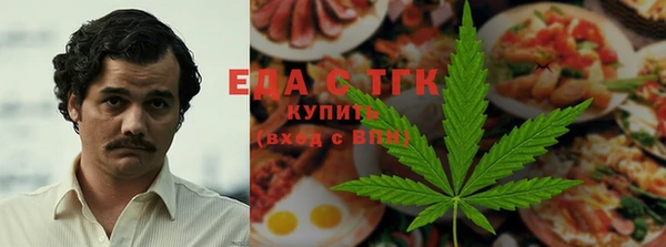 гашик Ельня