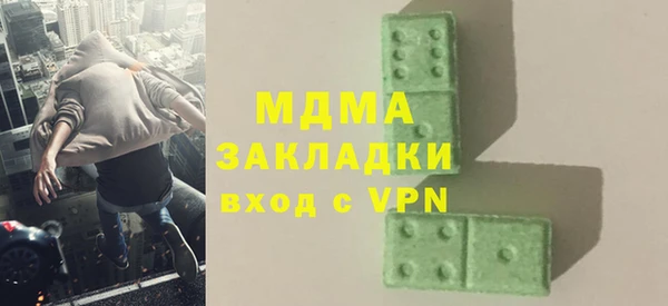 гашик Ельня