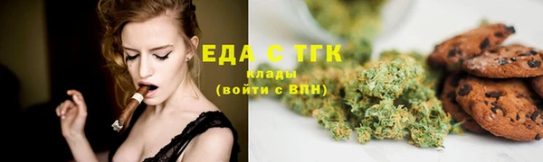 гашик Ельня