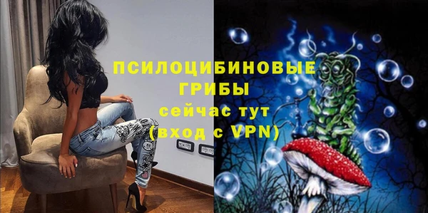 гашик Ельня