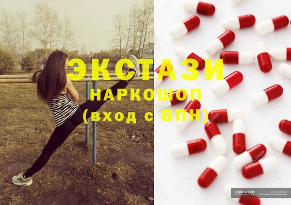 гашик Ельня