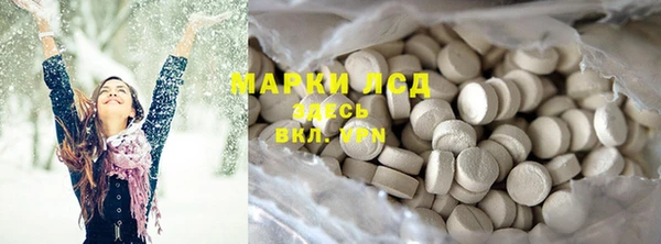 гашик Ельня